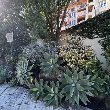 Gracious In With Pool, アパート *